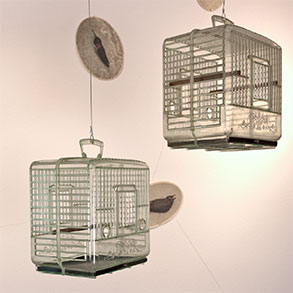 Caged Flight